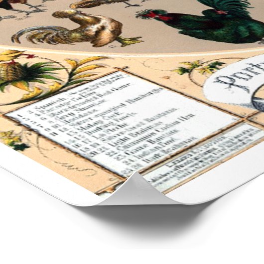 Hähnchen und Hähnchen, Vintag Poster (Ecke)