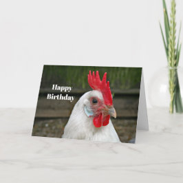 Hähnchen White Head Rooster Foto Geburtstag Karte