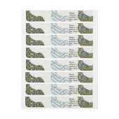 Hähnchenbauernhof mit farbigen Mustern Rundum-Adressaufkleber (Bogen)