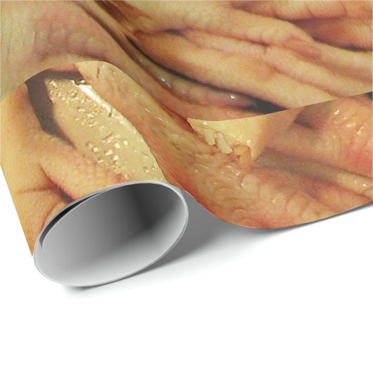 Hähnchenfutter Geschenkpapier (Rolleneckpunkt)