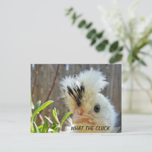 Hähnchenpostkarte Postkarte (Stehend Vorderseite)