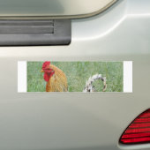 Hähne Autoaufkleber (Auf Auto)