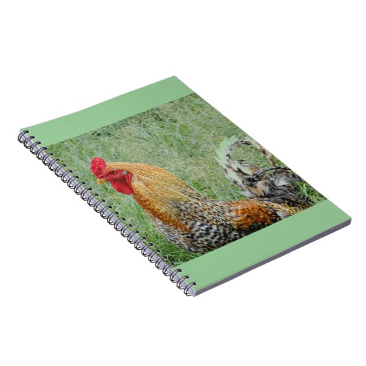 Hähne Notizblock (Rechte Seite)