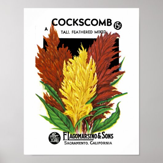 Hahnenkamm Poster (Vorne)