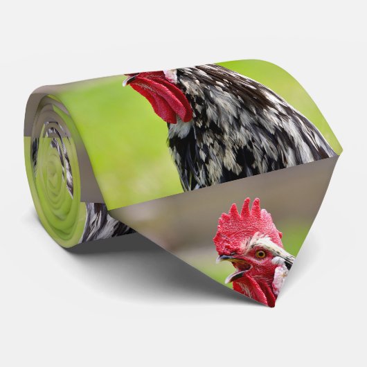 Hahnenkröte schließen krawatte (Gerollt)