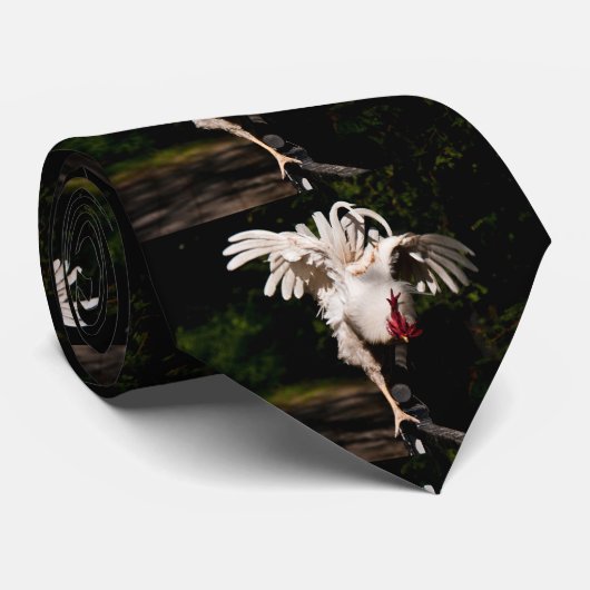 Hahnflatternflügel Krawatte (Gerollt)