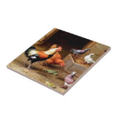 Hahnhennetauben Fliese (Seite)