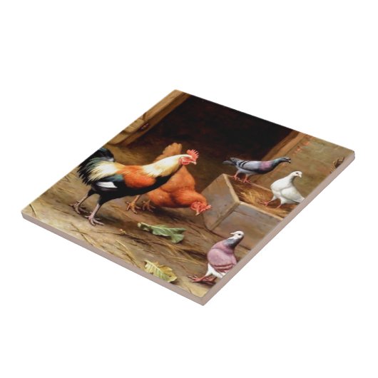 Hahnhennetauben Fliese (Seite)