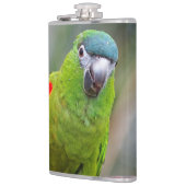 Hahns Mini-Macaw/Rot-Schulter-Ara Flachmann (Links)