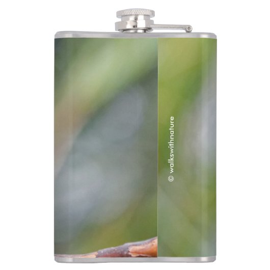 Hahns Mini-Macaw/Rot-Schulter-Ara Flachmann (Rückseite)