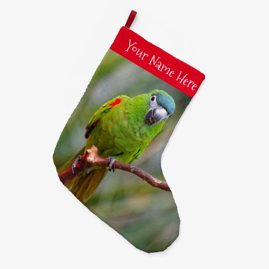 Hahns Mini-Macaw/Rot-Schulter-Ara Großer Weihnachtsstrumpf (Vorderansicht (hängend))