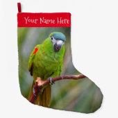 Hahns Mini-Macaw/Rot-Schulter-Ara Großer Weihnachtsstrumpf (Vorderseite)