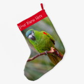 Hahns Mini-Macaw/Rot-Schulter-Ara Großer Weihnachtsstrumpf (Rückseite (Hängend))