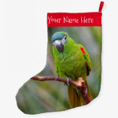 Hahns Mini-Macaw/Rot-Schulter-Ara Großer Weihnachtsstrumpf (Rückseite)
