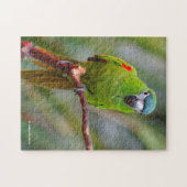 Hahns Mini-Macaw/Rot-Schulter-Ara Puzzle (Horizontal)