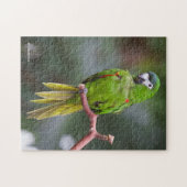 Hahns Mini-Macaw/Rot-Schulter-Ara Puzzle (Horizontal)