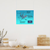 Hai-Anatomie-Poster Poster (Küche)