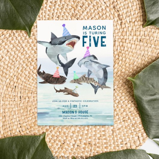 Hai Birthday Einladung Pool Party Kindergeburtstag