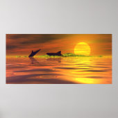 Hai-Delphin Das Spiel des Lebens Poster (Vorne)