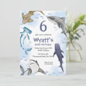 Hai, Einladung (Stehend Vorderseite)