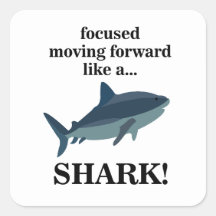 Hai fokussiert sich wie ein Hai nach vorn bewegen