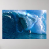 Hai-Gesicht-Poster Poster (Vorne)