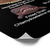 Hai-Gesichter, die Gewollt werden, um zu begegnen Poster (Ecke)