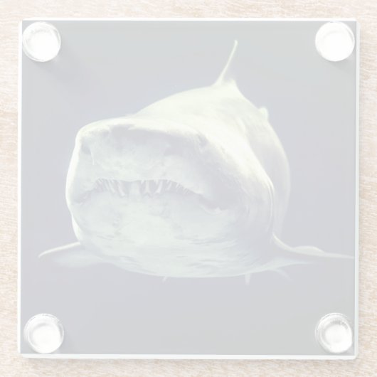 Hai Glasuntersetzer (Rückseite)