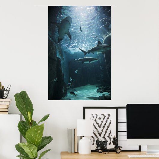 Hai im Aquarium Poster (Heimbüro)