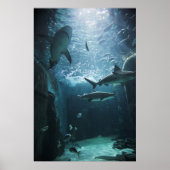 Hai im Aquarium Poster (Vorne)