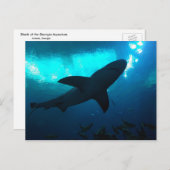 Hai im Georgia Aquarium Postkarte (Vorne/Hinten)