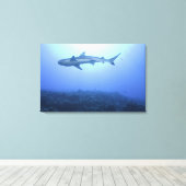 Hai im Ozean, Sicht im niedrigen Winkel Leinwanddruck (Insitu (Holzboden))