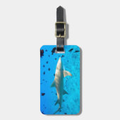 Hai in blauem Meer Gepäckanhänger (Vorderseite vertikal)