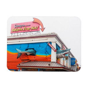Hai in Ocean City, Maryland, USA Magnet