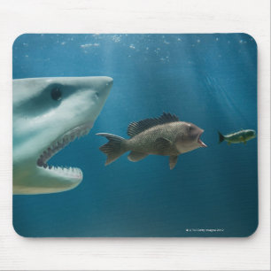 Hai jagen Seebarsch jung Mousepad