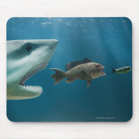 Hai jagen Seebarsch jung Mousepad (Vorne)