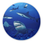 Hai-Keramik-Kabinettkanne Keramikknauf (Vorderseite)