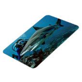 Hai Magnet (Linke Seite)