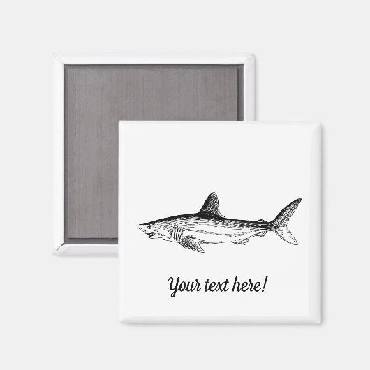 Hai Magnet (Vorderseite/Rückseite)