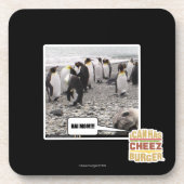 HAI MAMA!!! GETRÄNKEUNTERSETZER (Vorderseite)