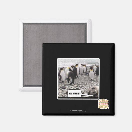 HAI MAMA!!! MAGNET (Vorderseite/Rückseite)