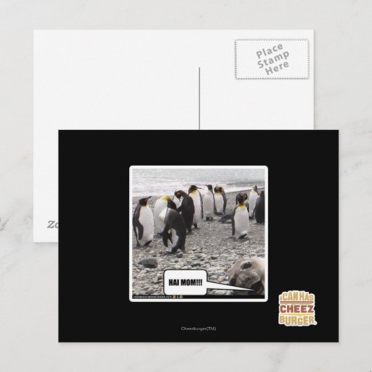 HAI MAMA!!! POSTKARTE (Vorne/Hinten)