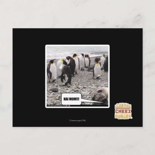 HAI MAMA!!! POSTKARTE (Vorderseite)