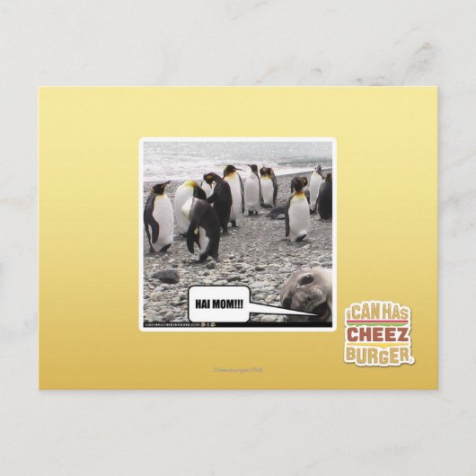 HAI MAMA!!! POSTKARTE (Vorderseite)