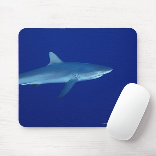 Hai Mousepad (Mit Mouse)