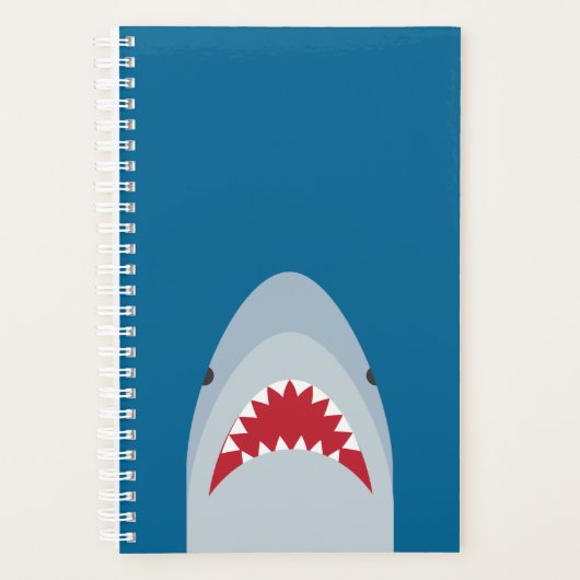 Hai Planer (Vorderseite)