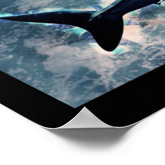 Hai-Poster Poster (Ecke)