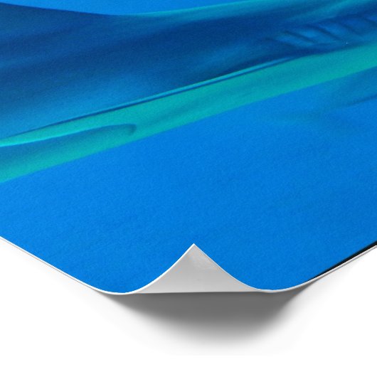 Hai-Poster Poster (Ecke)