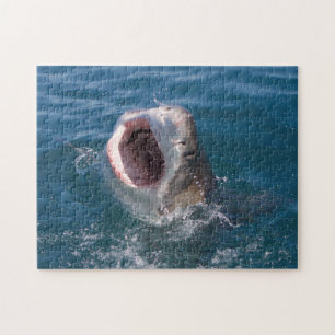 Hai-Puzzle Puzzle