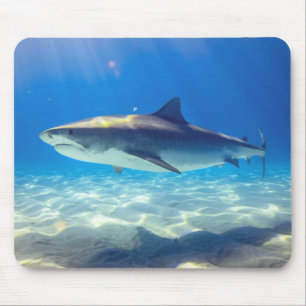 Hai schwimmen Blaues Meer Mousepad